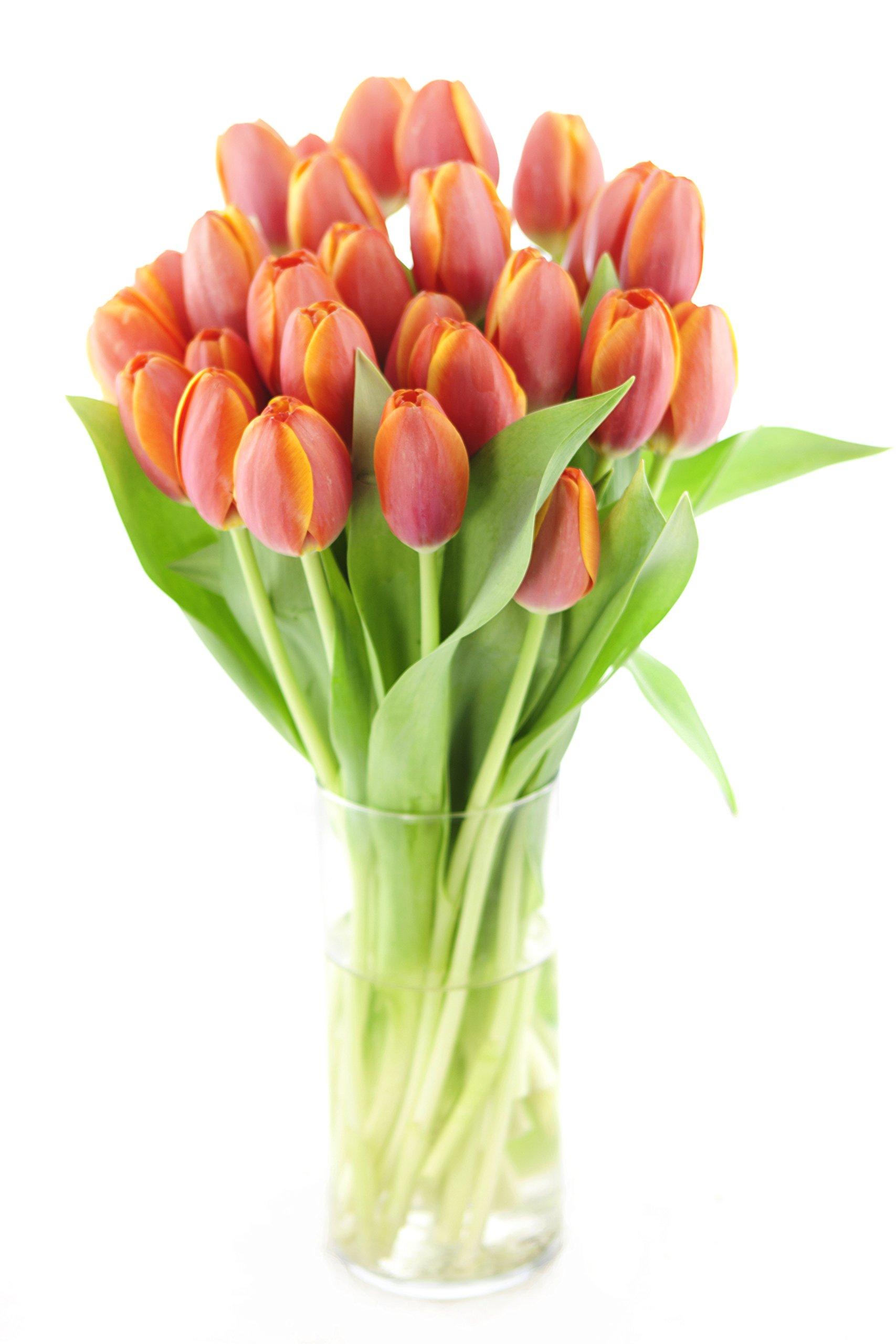 KaBloom-30 Orange Tulip Bouquet,Flowers for Valentine, Mother's Day