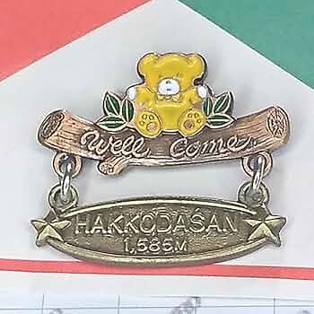 Amazon.co.jp: ) レトロ ご当地 観地 登山 記念 山バッジ