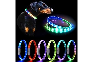 Led Dog Collar Rechargeable USB-C: Super Bright Multi-Color Light Up Collar
