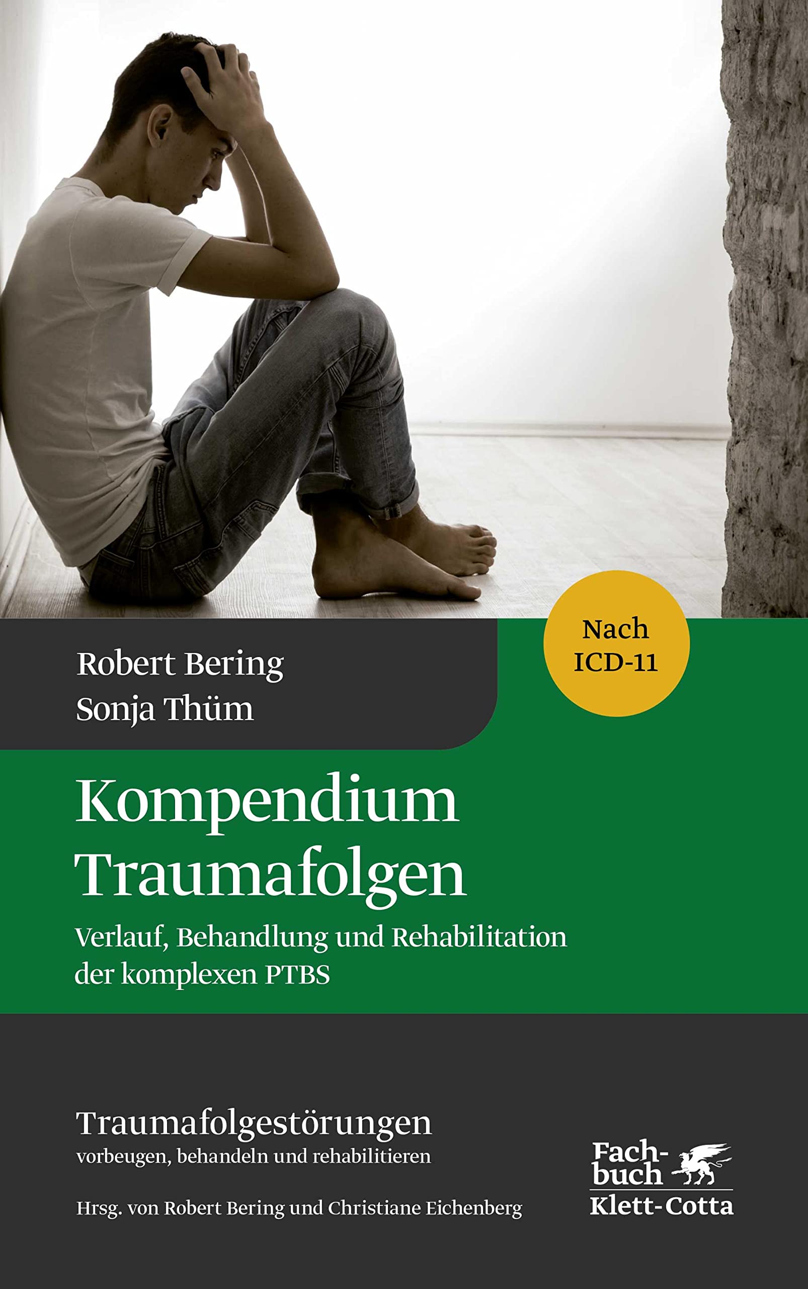 Kompendium Traumafolgen (Traumafolgestörungen, Bd. 2): Verlauf, Behandlung und Rehabilitation der komplexen PTBS