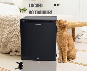 Locking Mini Fridge 1.0 Cu.ft For RV & Truck - 12V/110V, Super Quiet, Reversible Door, Black, Absorption Cooler