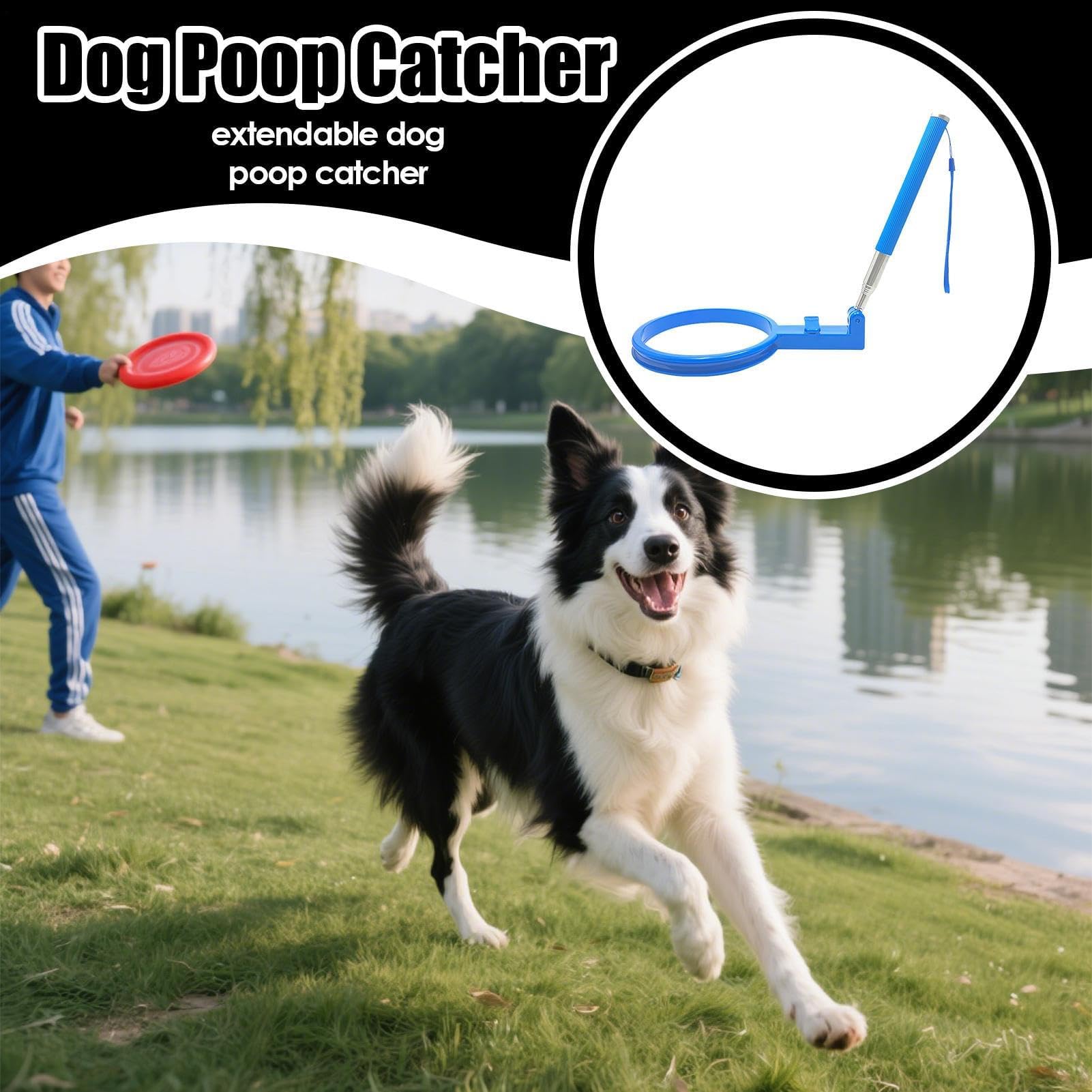 Ramasse-crottes pour chien, poignée extensible pour un ramassage facile pendant les promenades, se replie pour les voyages et l'aventure, attrape-crottes pratique pour chiots et chiens