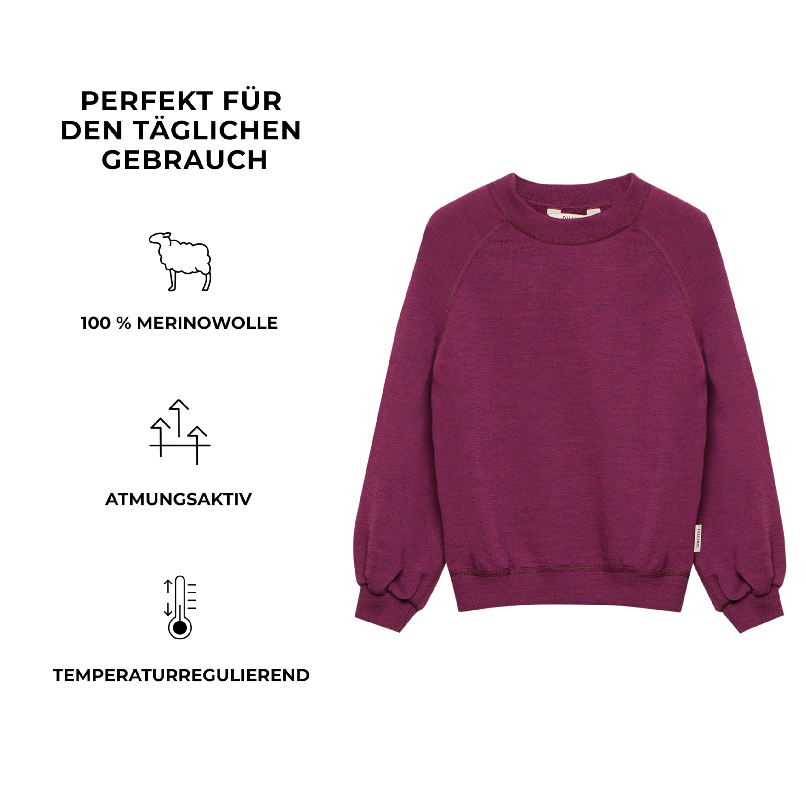 DILLING Sweatshirt aus natürlicher Merinowolle für Kinder