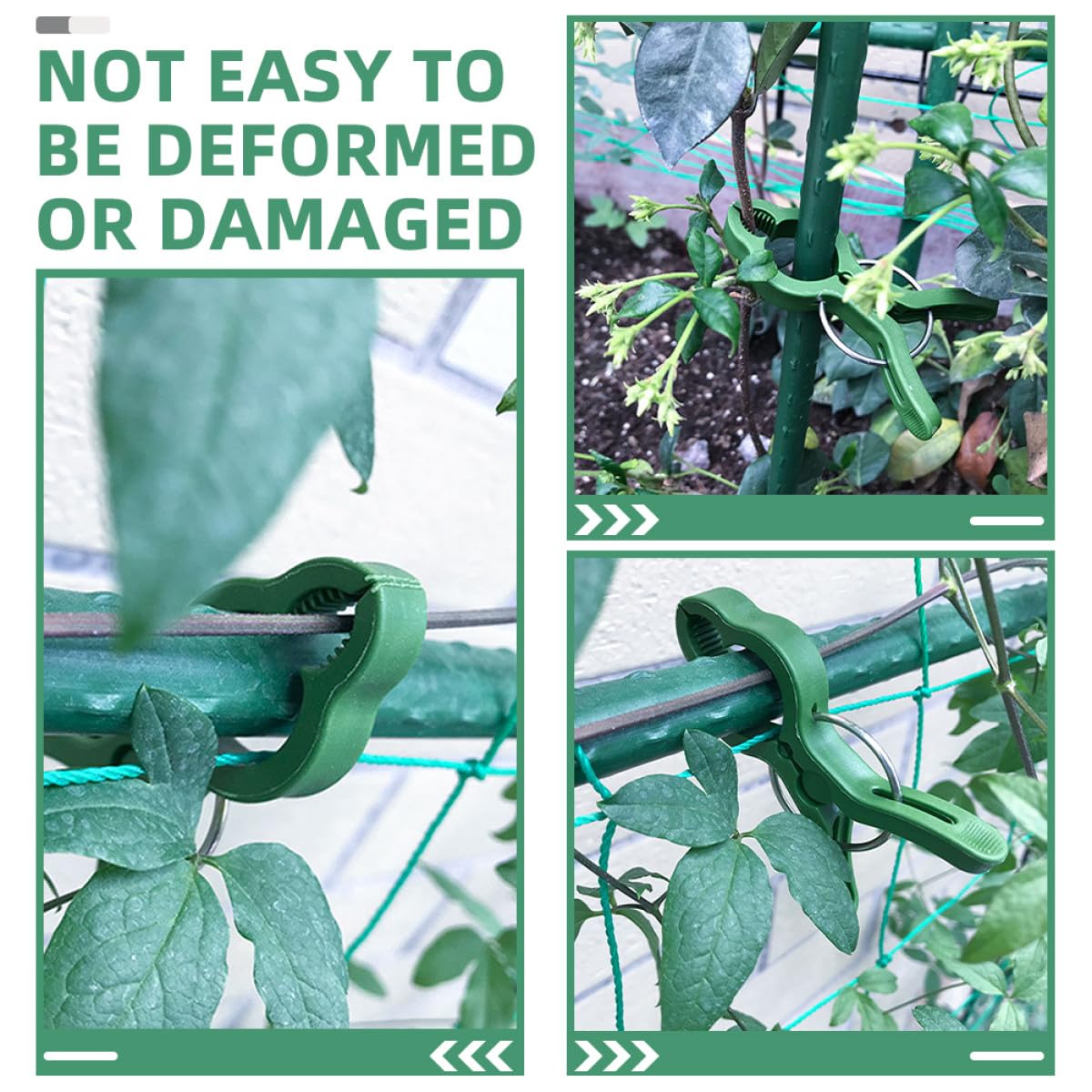 Clip per Piante Pomodoro 60pezzi, Sostegno per Orchidee e Piante Rampicanti, Clip di Fissaggio in Plastica Leggera per Giardino e Terrazza