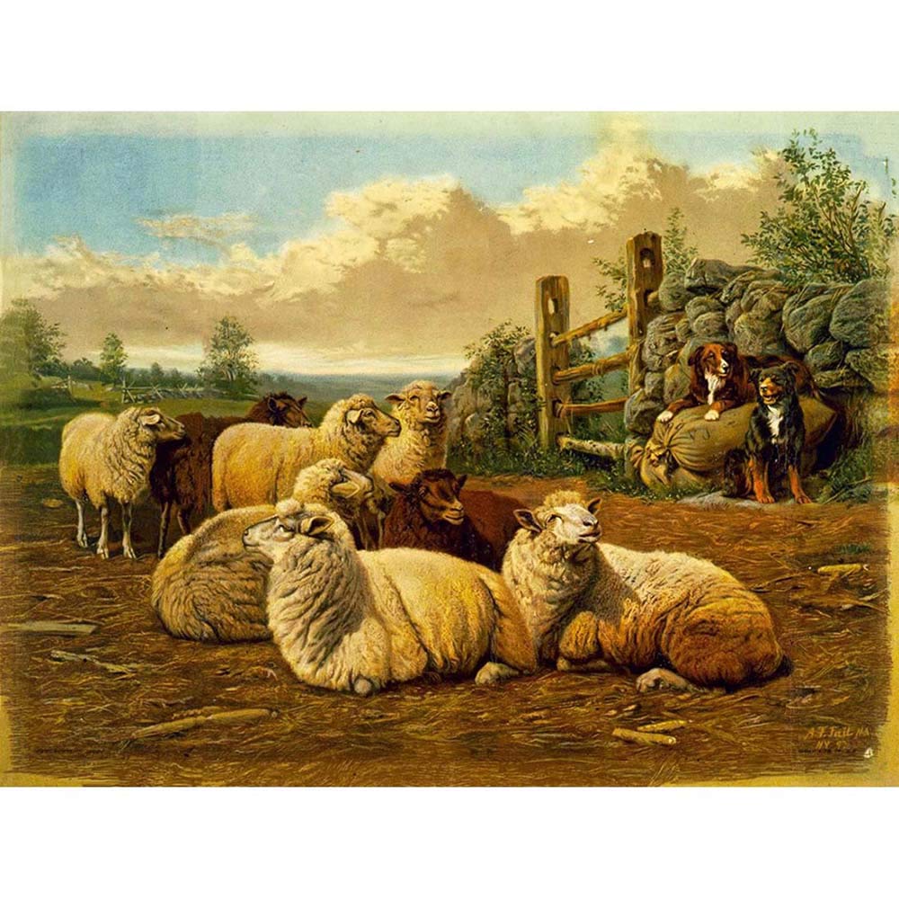 Wee Blue Coo Paintings Agricultural Landscape Sheep Dog Farm Pasture Art Print Poster Wall Decor 12X16 Inch