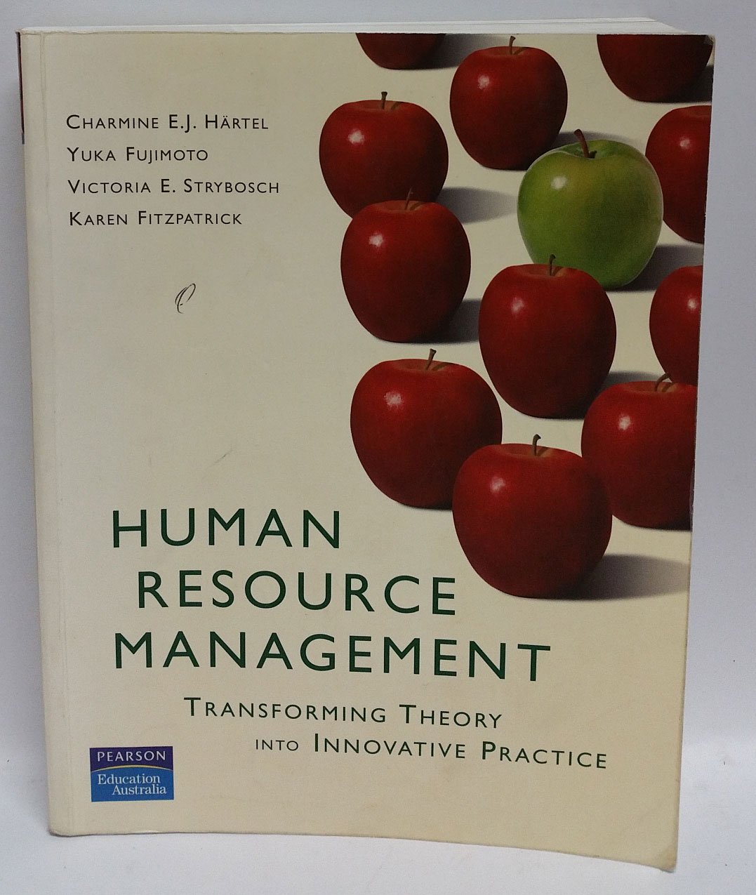 Amazon Human Resource Management Transforming Theory into Innovative