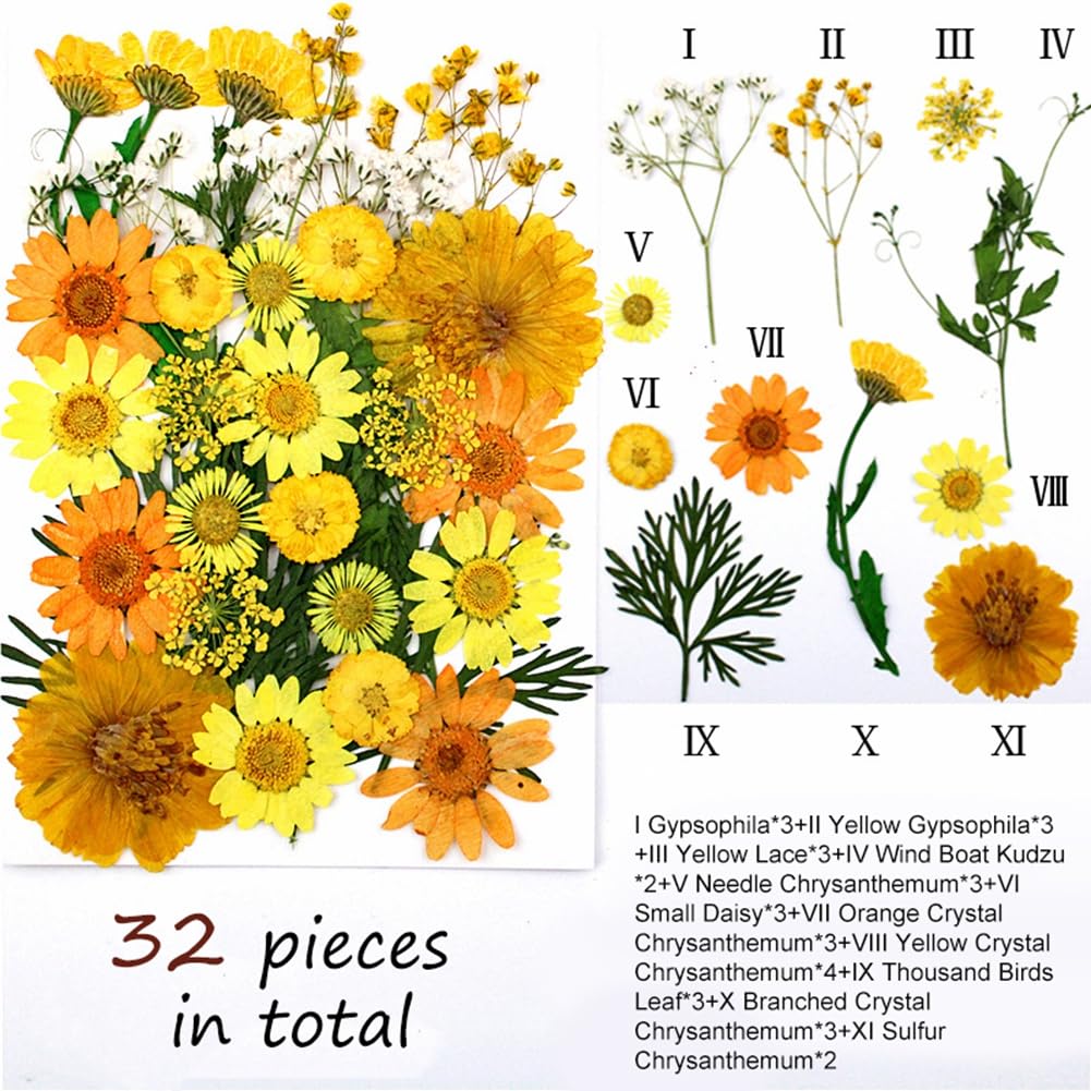 Dried Pressed Flowers for Resin Molds, Real Natural Bulk Dry Floral Leaves Embossing Kit for DIY Art Crafts, Epoxy Jewelry, Candle, Soap Making, Nails Decors Gifts, Specimens DIY Style 10