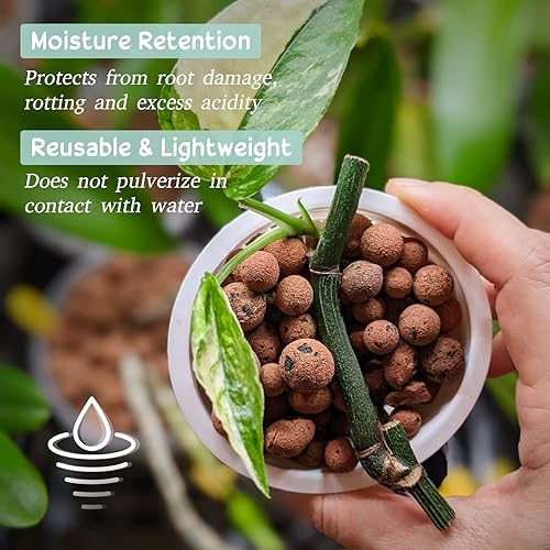 Miniatura 3 de Legigo 6 LB de arcilla Leca orgánica en guijarros para plantas, 4mm-16mm 100% bolas de Leca naturales para plantas de interior, guijarros de arcilla