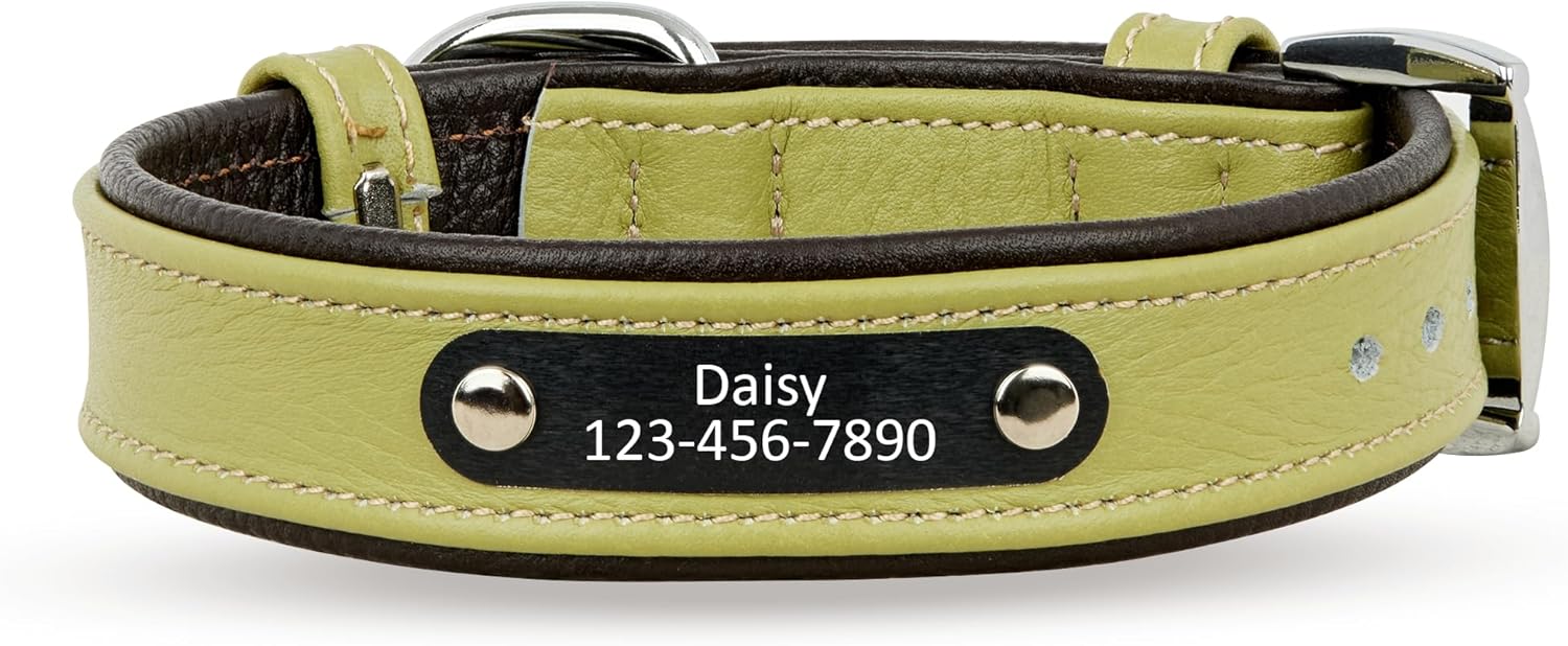 Cowhide Leather Dog Collar with Name Plate | Personalized Dog Collars for Small, Medium and Large Dogs | Engraved Dog Collar | Durable Heavy Duty Dog Collars
