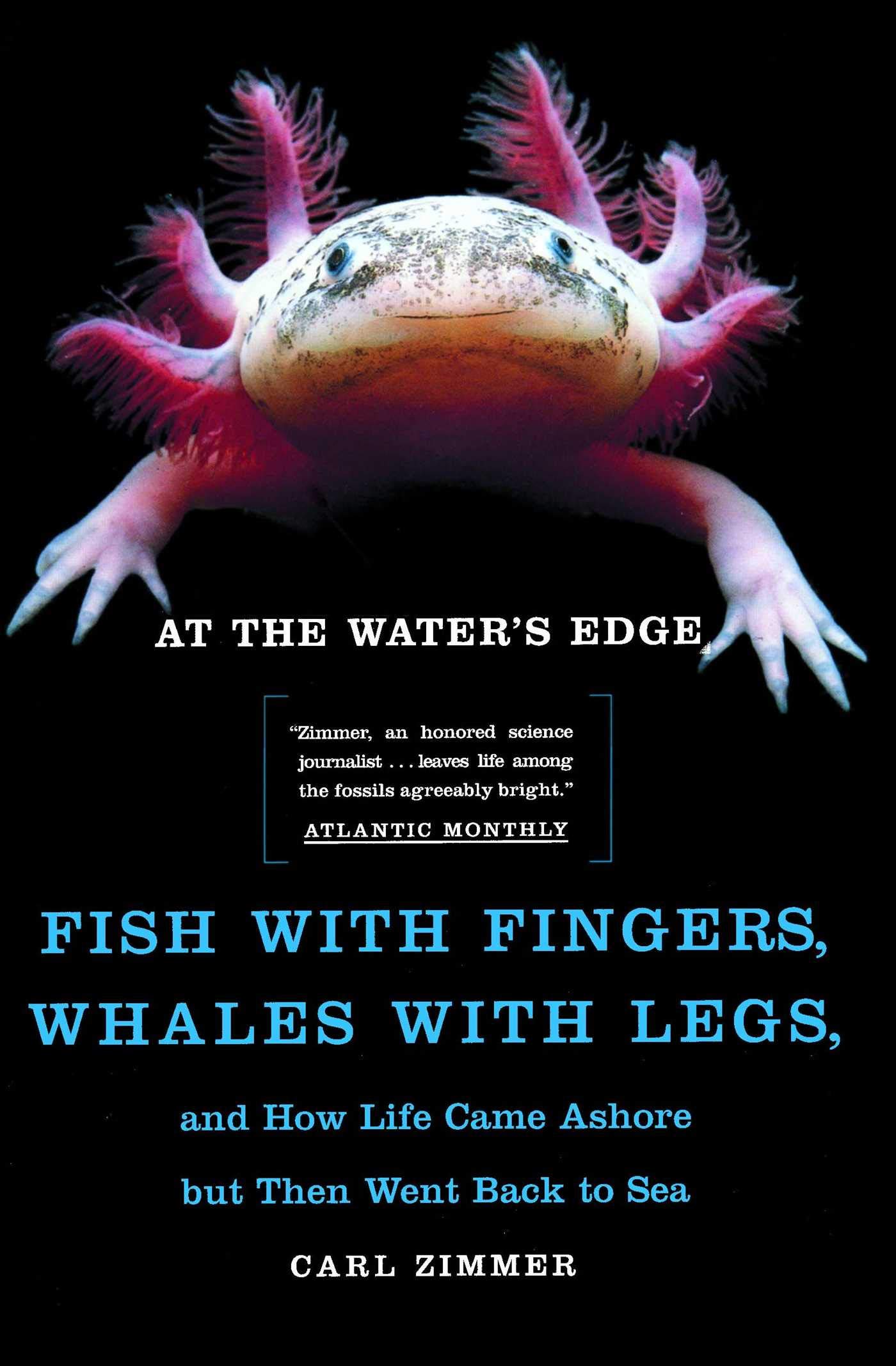 At the Water's Edge: Fish with Fingers, Whales with Legs...