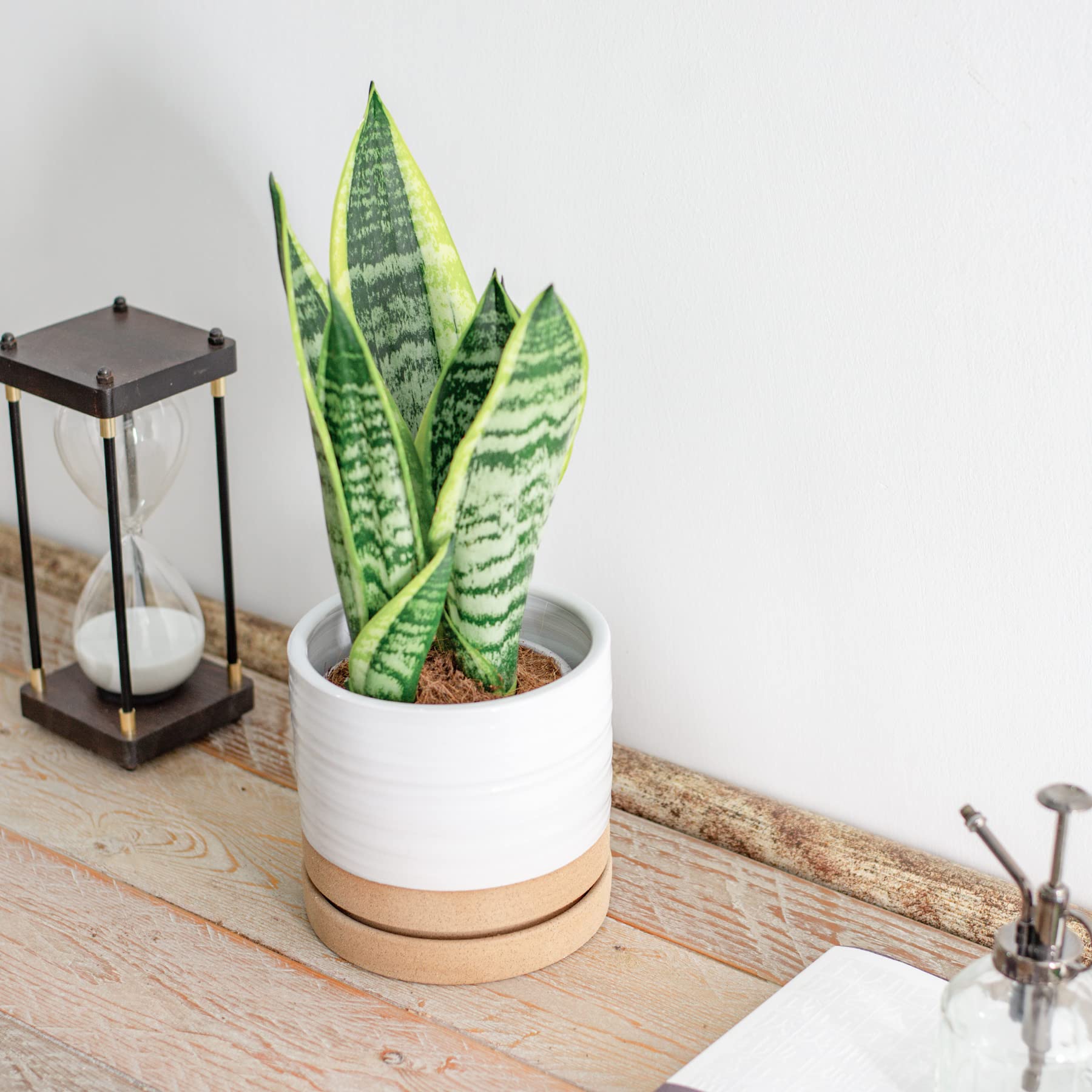 HERDUK Macetas De 6 Pulgadas, Maceta De Cerámica Con Agujero De Drenaje Y  Platillo, Maceta Redonda, image size:1800x1800