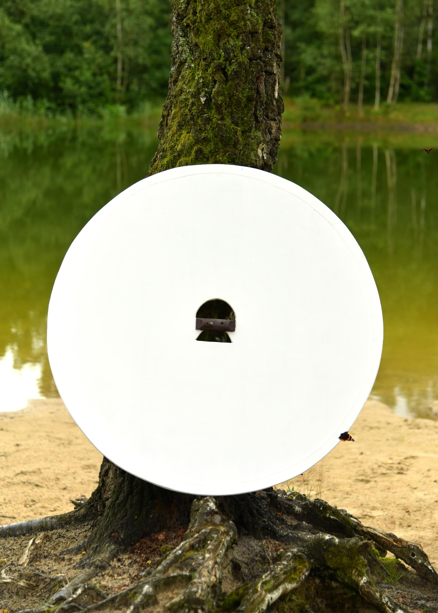 Battle-Merchant Wikinger Rundschild, Rohling aus Holz mit Stahlbuckel - Schild - Wikingerschild