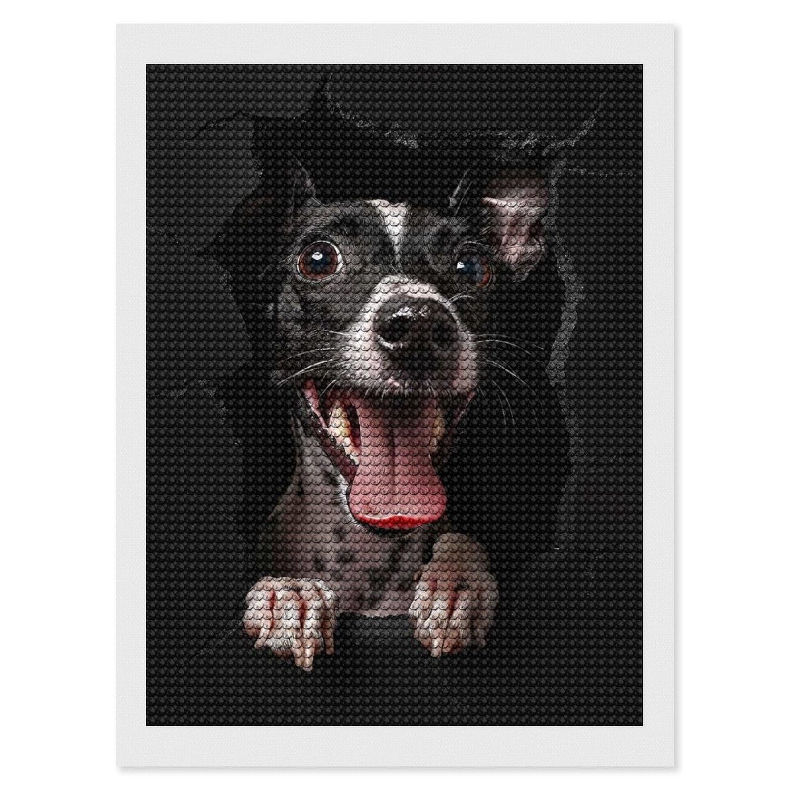 Junmoney Italian Greyhound Full Drill Diamond Painting Kit 12"x16", for Teens, Adhesive Canvas, Bedroom Decor, Holiday Gift Idea
