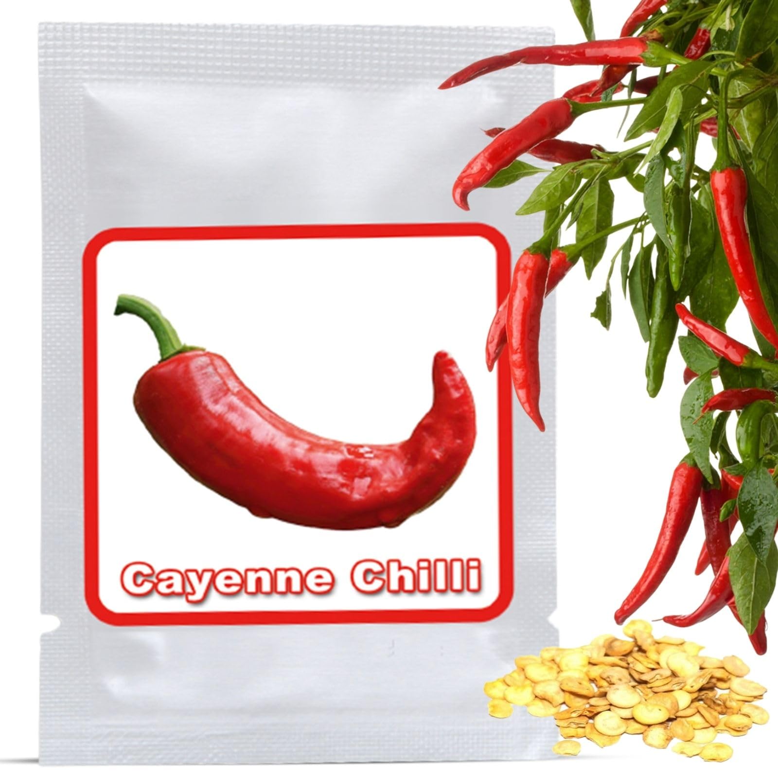 Magic of Nature Chili Samen - 50 Stk. Red Cayenne - Schrfegrad 8 -  Capsicum annuum - Saatgut fr Garten, Balkon & Kche : Amazon.de: Garten