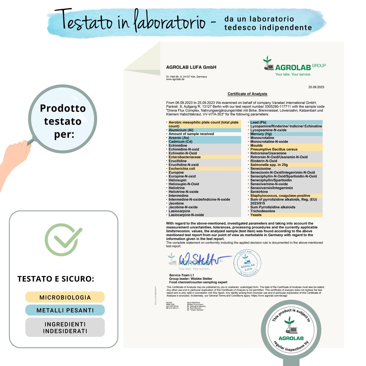 Vegavero DRENANTE Forte | con Pilosella, Tarassaco, Orthosiphon, Ortica e Betulla | 4 Mesi di Fornitura | Diuretico per Ritenzione Idrica Gambe | Natural Detox | Vegan