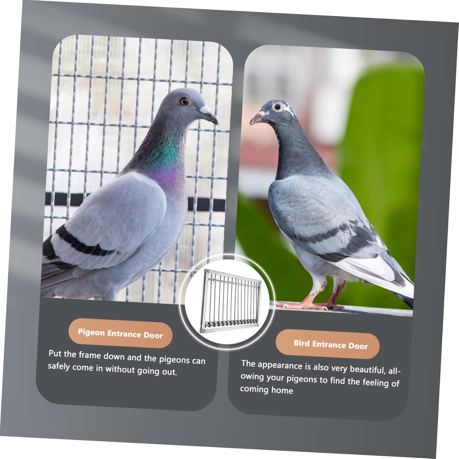 Pigeon Cage Door Durable Entrance for Homing Pigeons Easy Install Bird Door for Dovecote Pigeon Loft Accessory for Convenient Bird Care