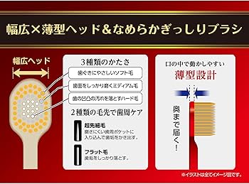 Amazon | エビス ザ・プレミアムケア 8列レギュラー ふつう (色