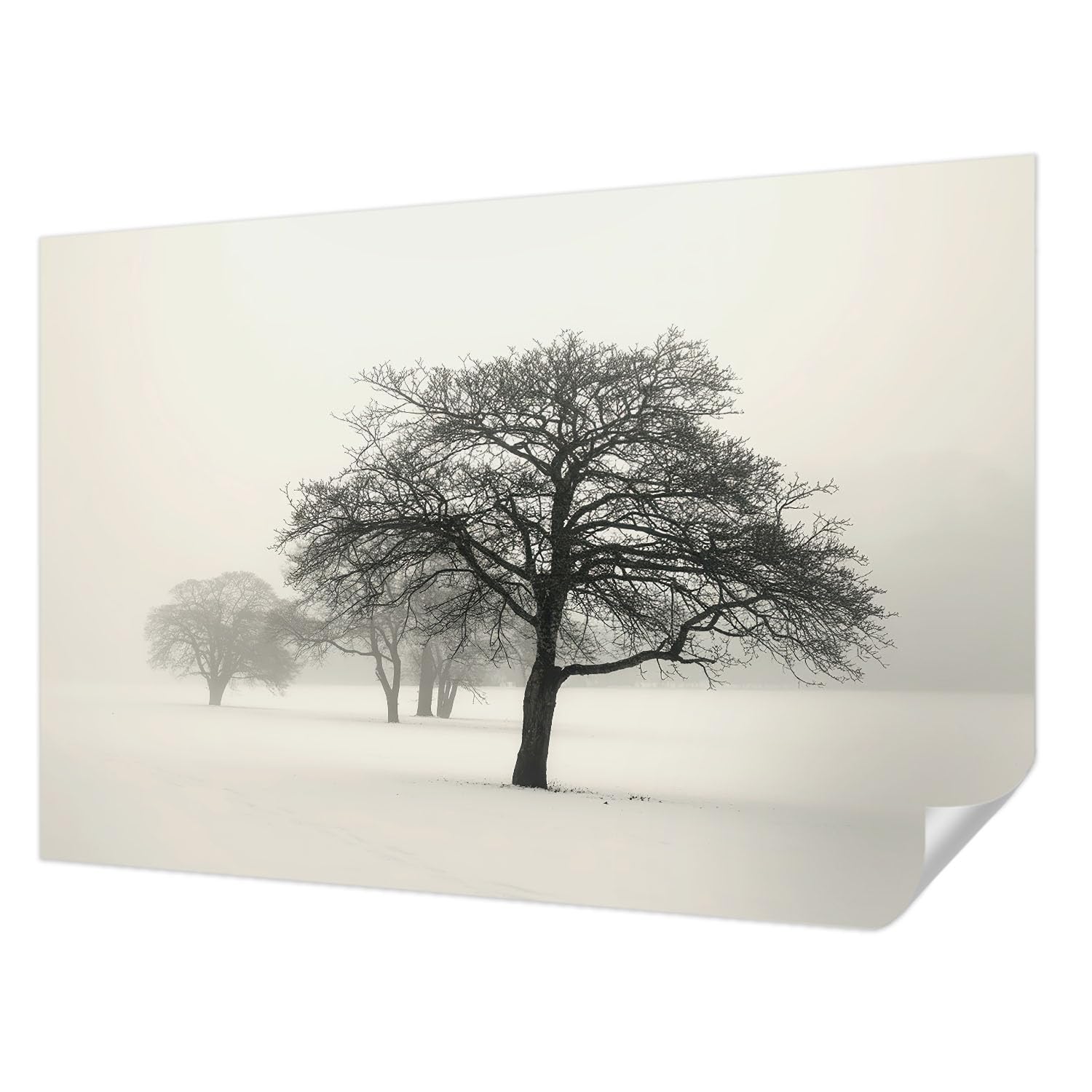 Papier peint autocollant haute qualité Tulup paysage arbres d'hiver 104x70 cm