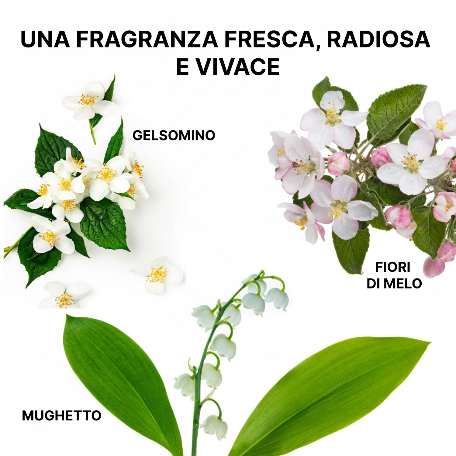 Color Wow, Insta-Wow, Shampoo Secco Detergente e Rinfrescante senza Residui Bianchi, Tecnologia Active Cleansing e Amido Ultra-Fine, Per Tutti i Tipi di Capelli, 200ml