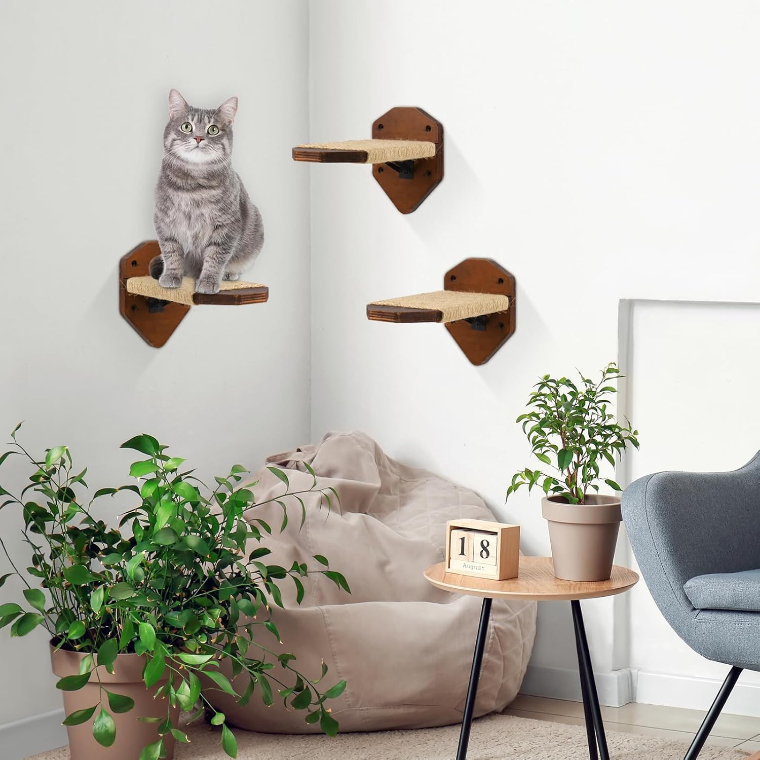 review 3-Pcs Cat Shelves Wall Mounted, Cat Wall Shelves Climbing Steps, Cat Shelves and Perches for Wall, Cat Wall Furniture with Sisal Rope, Cat Climbing Shelves Cat Wall Steps for Indoor Kitty, Cats(Brown)