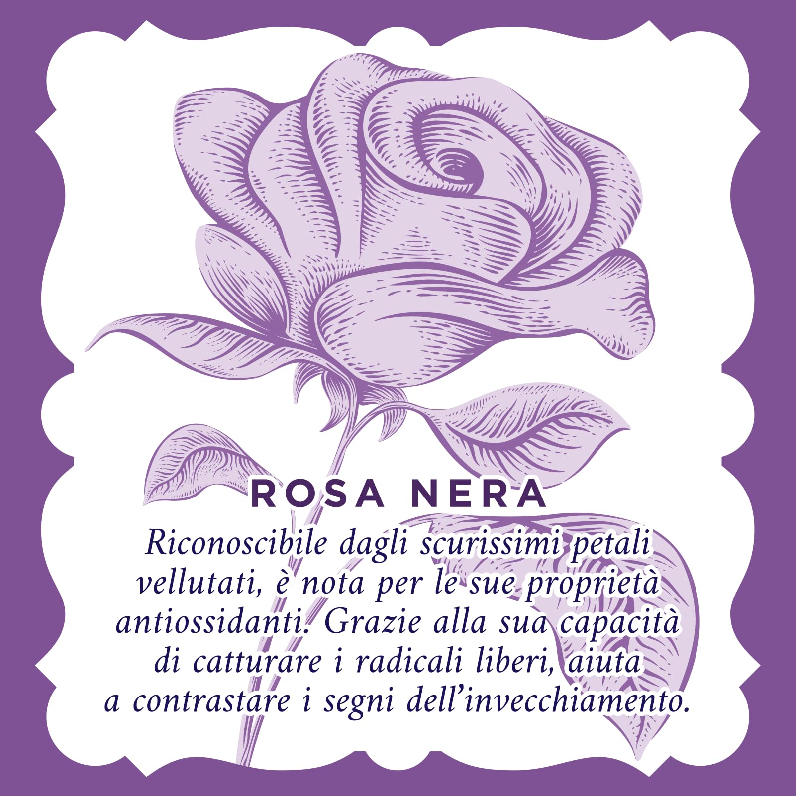 Acqua alle Rose, Kit Routine Viso Rimpolpante, Azione Riempitiva e Distensiva, contiene Tonico Rinfrescante, Crema Antirughe, Siero e Maschera in Tessuto - Esclusiva Amazon