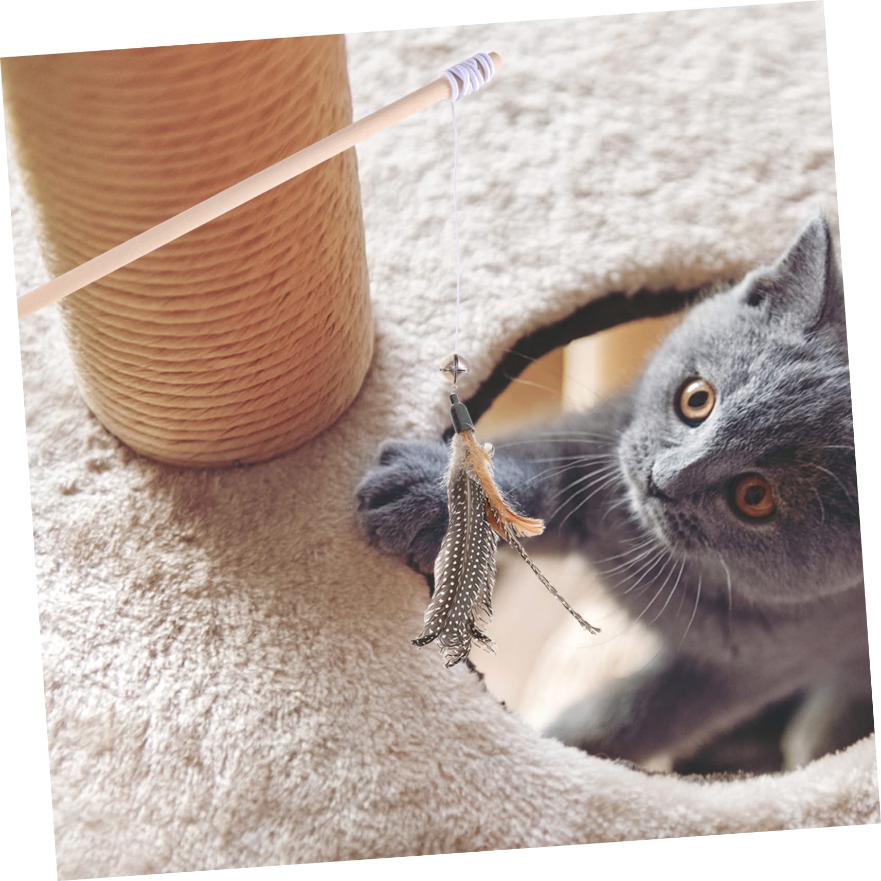 FRCOLOR 40 Pièces Recharge Chat Teaser Chat taquin Oiseau Poisson Recharge Jouets de ver de Chat Accessoires Jouet de Remplacement des Teaser Chat Chaton