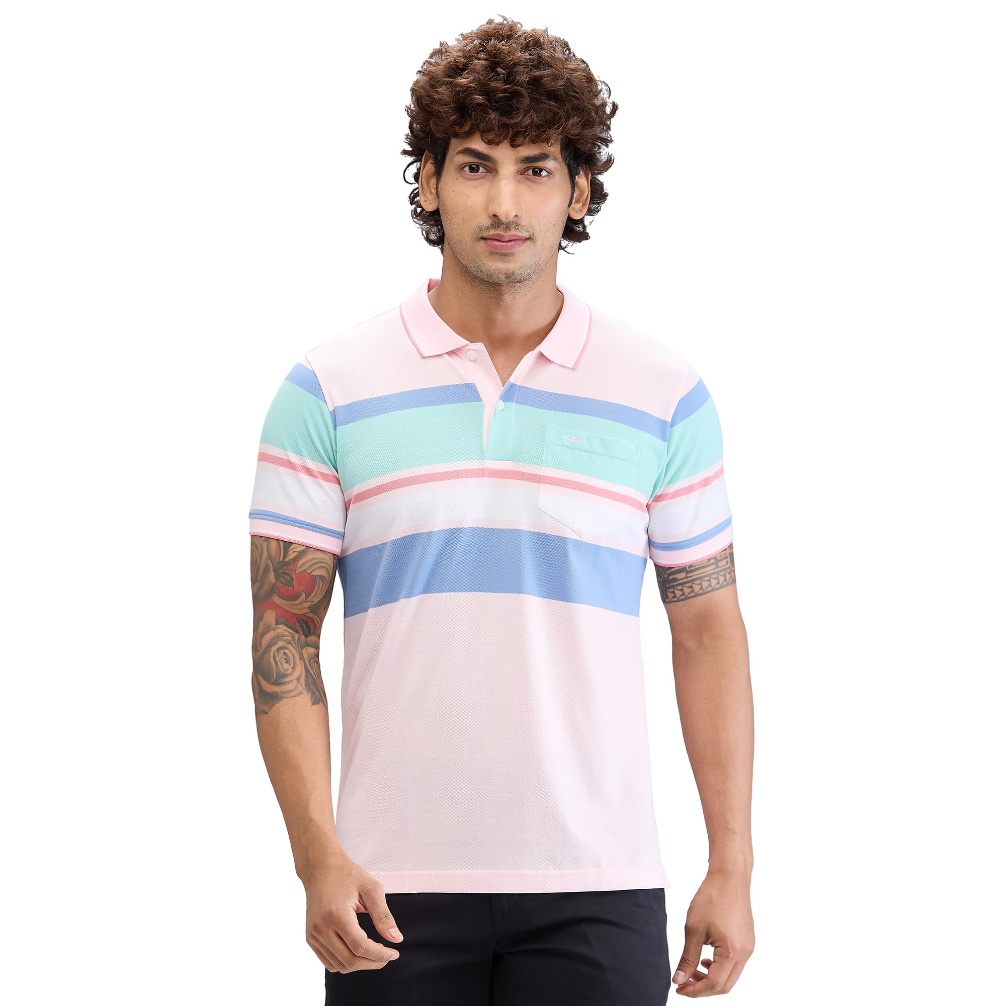 colorplus Men's Tailored Fit Stripe Pattern Pure Cotton Half Sleeve Polo Neck Casual T-Shirt-picture-25