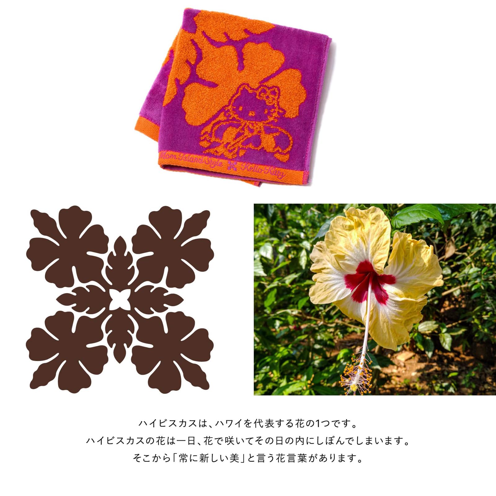 Amazon.co.jp: [キャシーマム アイランドスタイル] ハンドタオル