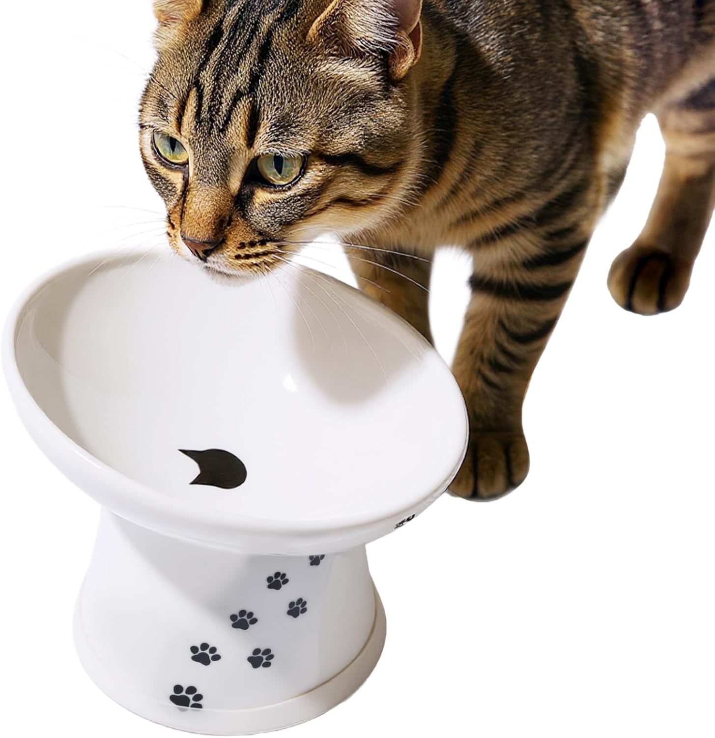 Necoichi Raised Cat Food Bowl – Ceramic Elevated 15° Tilted Cat Bowl for Whisker & Neck Fatigue, Dishwasher Microwave Safe Non-Slip Anti Vomiting Ergonomic Design (Extra Wide Tilted, 1.5-Cup Capacity) Cat Large Extra Wide Tilted - Image 1 of 9