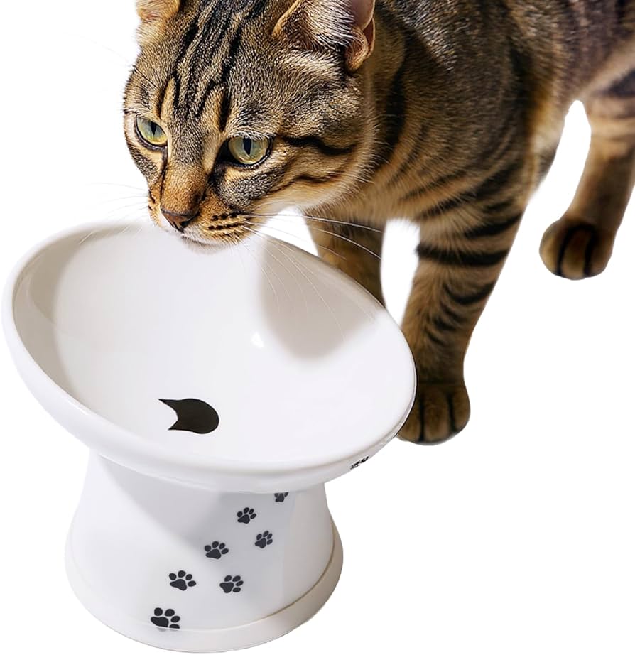 Necoichi Raised Cat Food Bowl – Ceramic Elevated 15° Tilted Cat Bowl for Whisker & Neck Fatigue, Dishwasher Microwave Safe Non-Slip & Anti Vomiting Ergonomic Design (Cats, Extra Wide Tilted, 1.5 Cups)