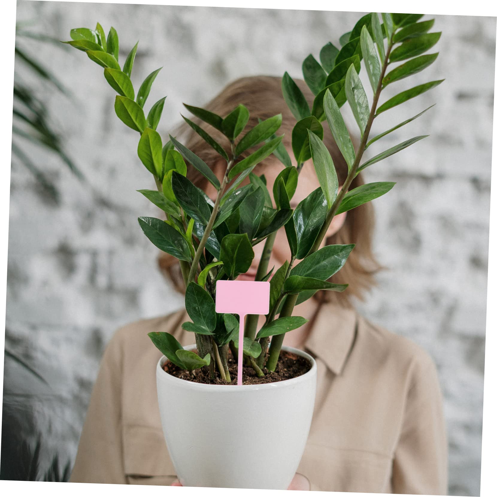 Toddmomy 120stücke Pflanzenmarker Für Garten Und Pflanzenpflege Wiederverwendbare Beschriftbare Kunststoffetiketten Für Blumen Und Sukkulenten