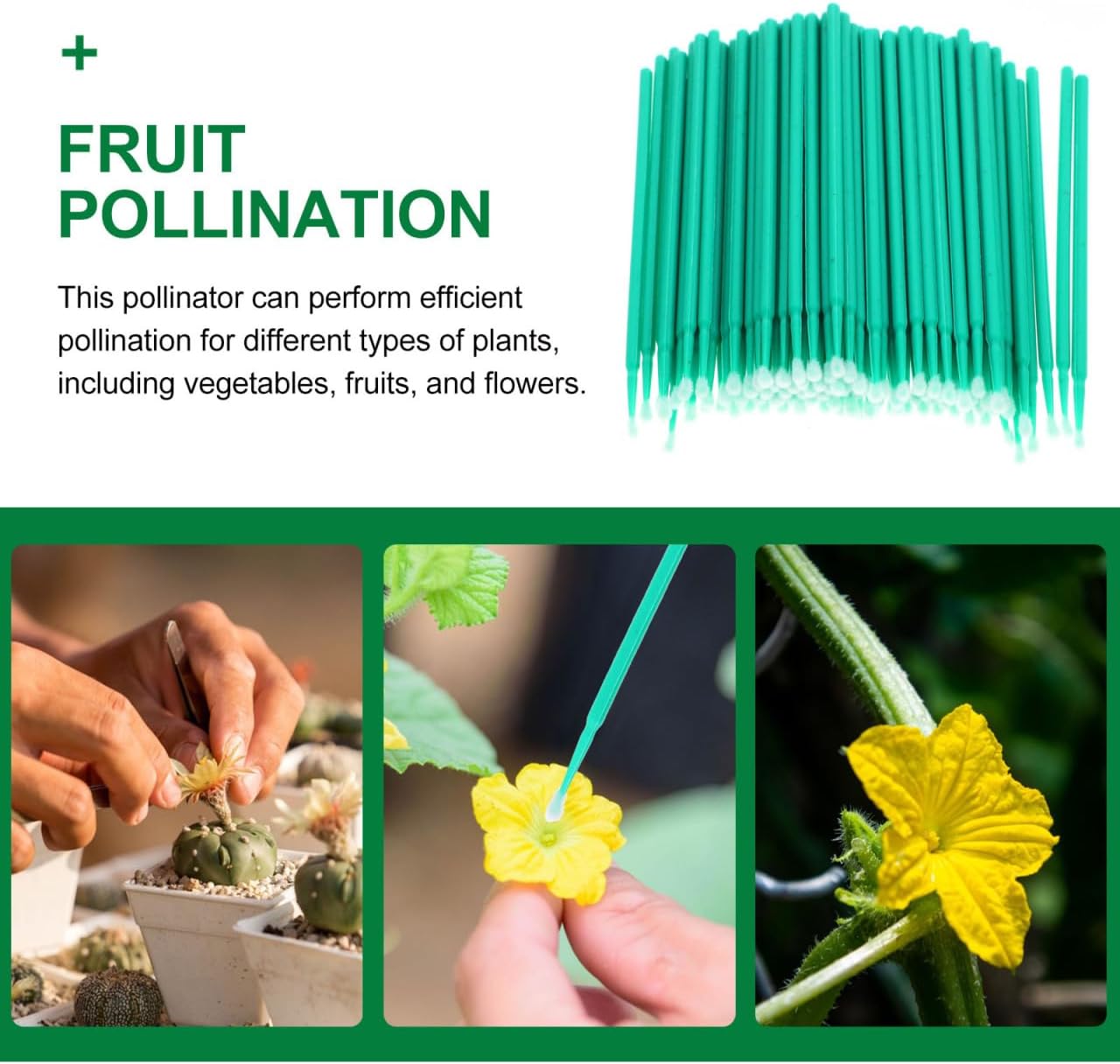 Vegetable Pollinator Tool Hand Pollination Pen for Garden Fruit Succulent Plants Manual Pollination Stick for Efficient Crop
