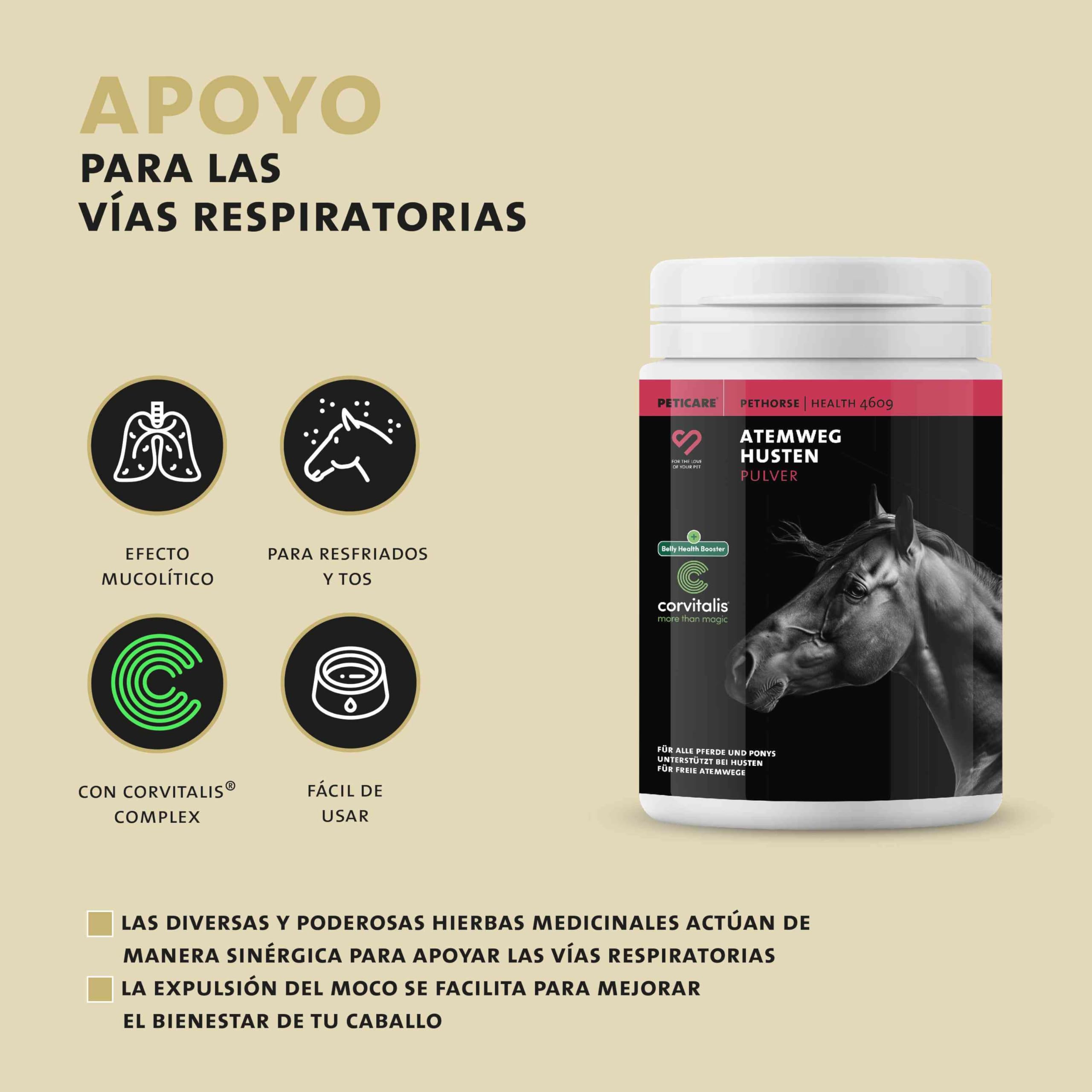 Peticare bronquios y Tos remedio para Caballos | Apoya vías respiratorias y resfriados | Expectorante | Fórmula a Base de Hierbas | Jarabe para la Tos en Polvo | Libre de OGM | petHorse Health 4609