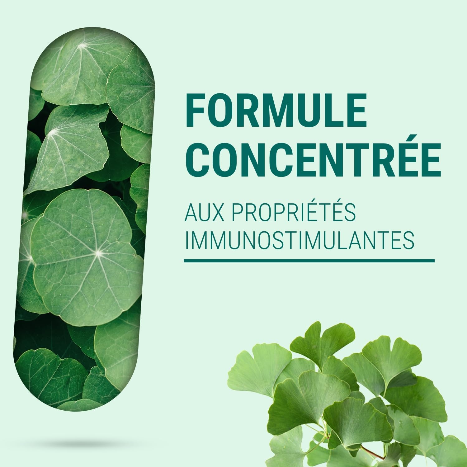 HERBA DEF ORL - Booster Immunité - Complément Alimentaire Défenses - Virus Rhume Otite Sinusite - Extraits Secs - 150 Gélules - Fabriqué en France - Vegan - Sans Additifs Allergènes OGM