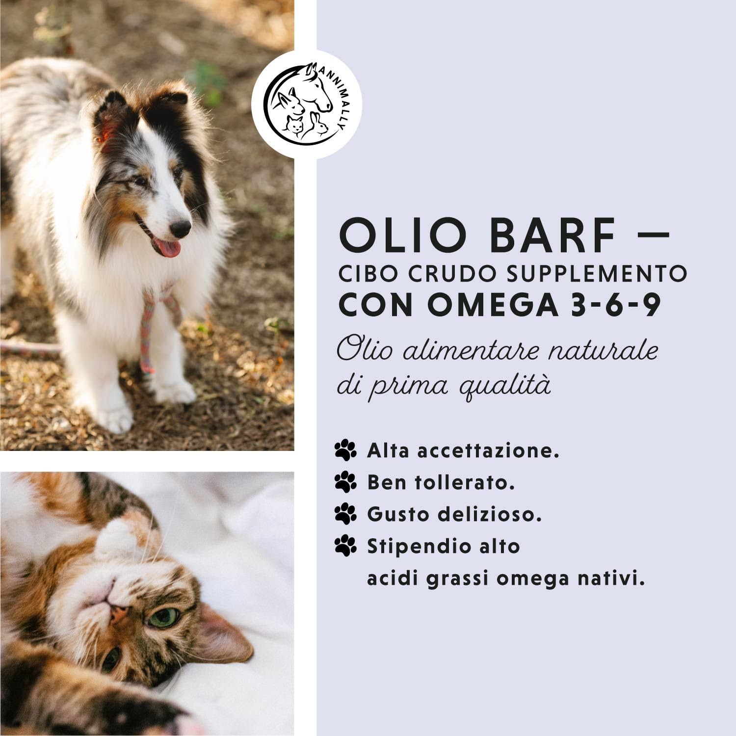 Olio BARF per cani 1000 ml Olio Barf con Omega 3-6-9 composto da: olio di salmone, olio di colza, olio di canapa e olio di borragine - olio alimentare per cani da utilizzare come condimento