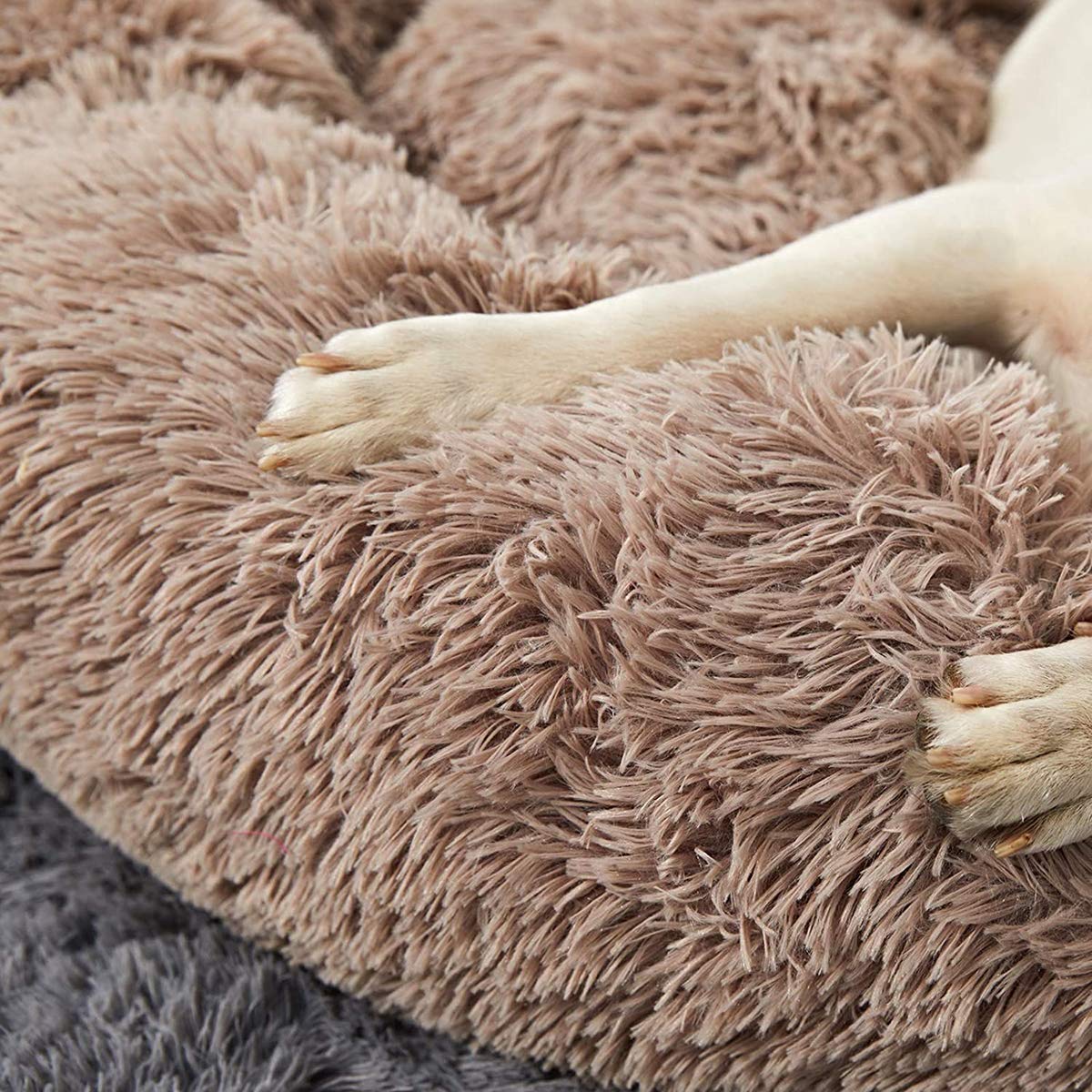 Extra Groot Kalmerend Hondenbed Orthopedisch Zacht Kussen Anti Angst Donut Bedden Fluffy Pluche Sofa Rieten Verwarmde Grot XXL Slaapmand Xl Medium Grote Honden (150cm/59inch, Beige Extra Groot Kalmerend Hondenbed Orthopedisch Zacht Kussen Anti Angst Donut Bedden Fluffy Pluche Sofa Rieten Verwarmde Grot XXL Slaapmand Xl Medium Grote Honden (150cm/59inch, Beige