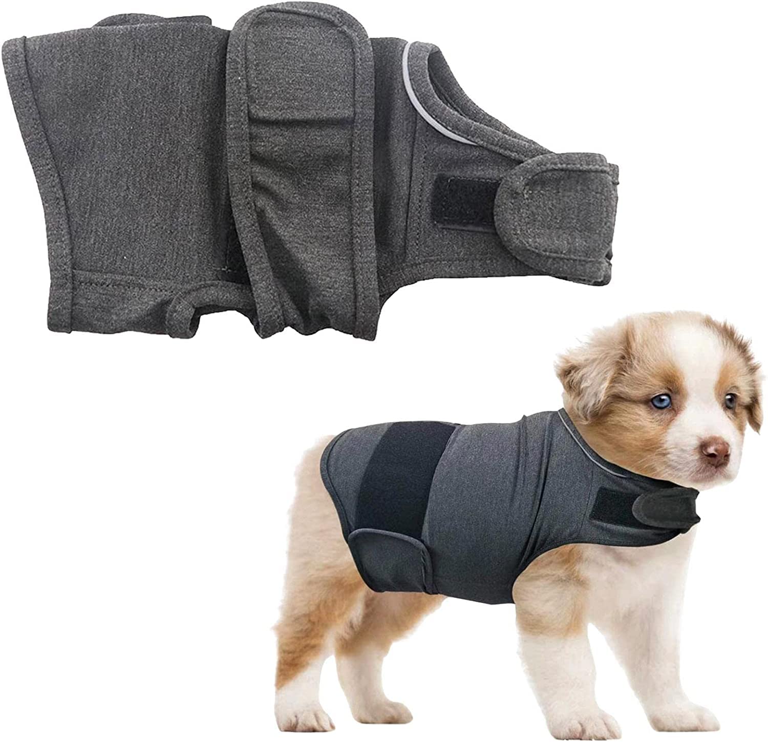 Amazon.co.jp: 犬の抗不安ベスト,小型犬用の犬を落ち着かせるベスト