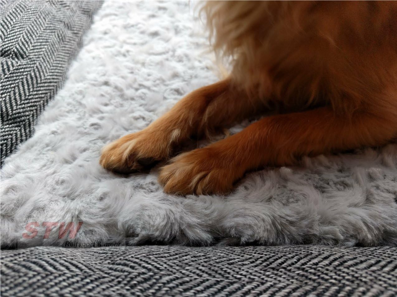 EKKIA Equestrian Gear Grey D&L DOG PAD GREY 90X60X5CM 409551011 409551011