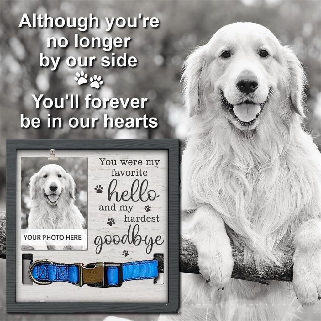 Pet Commemorate Picture Frame, Home Decoration High Definition Dog Cat Photo Frame Sturdy Durable Desk Top Crafts, 2 Pieces