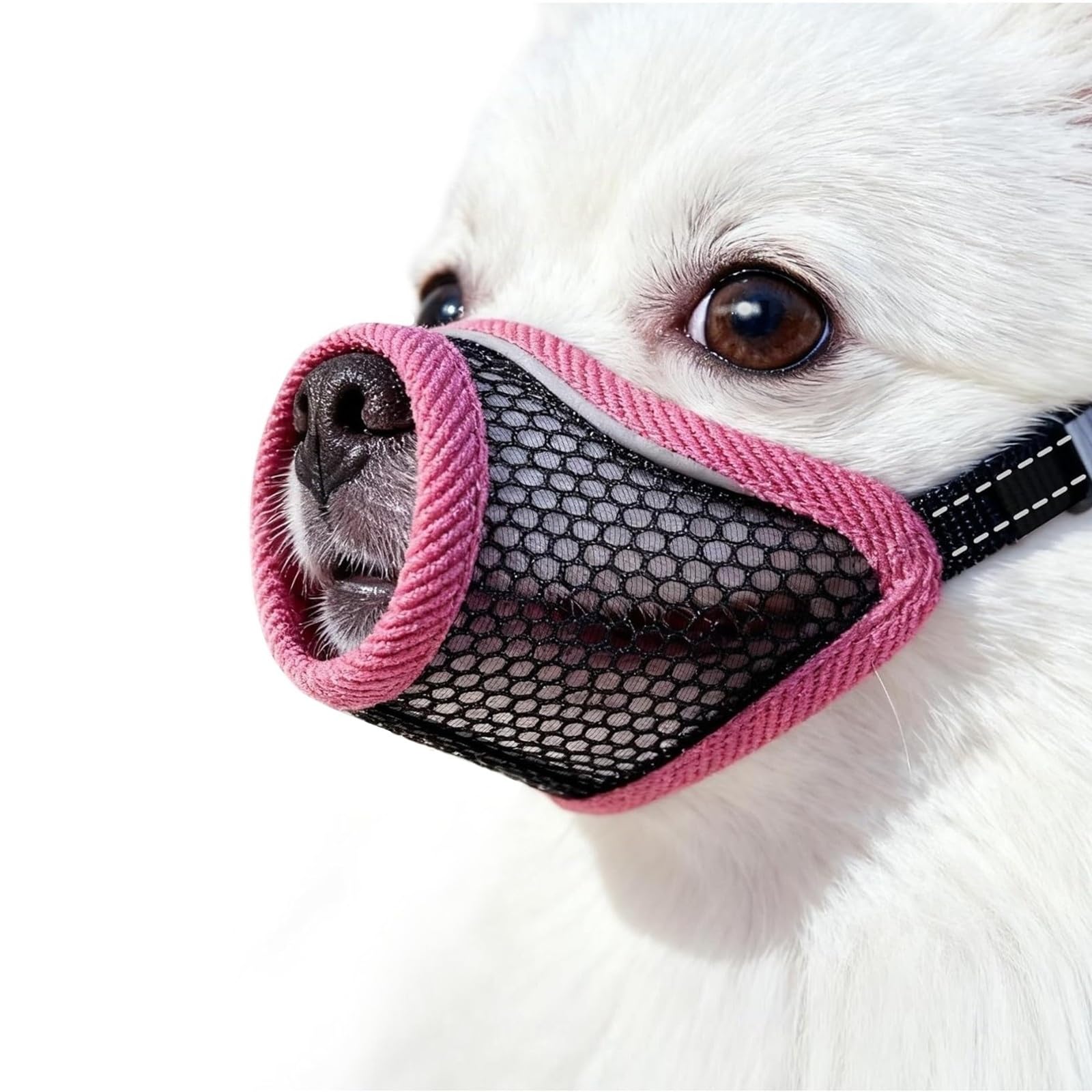 MoiiLavin Mesh XXS Red