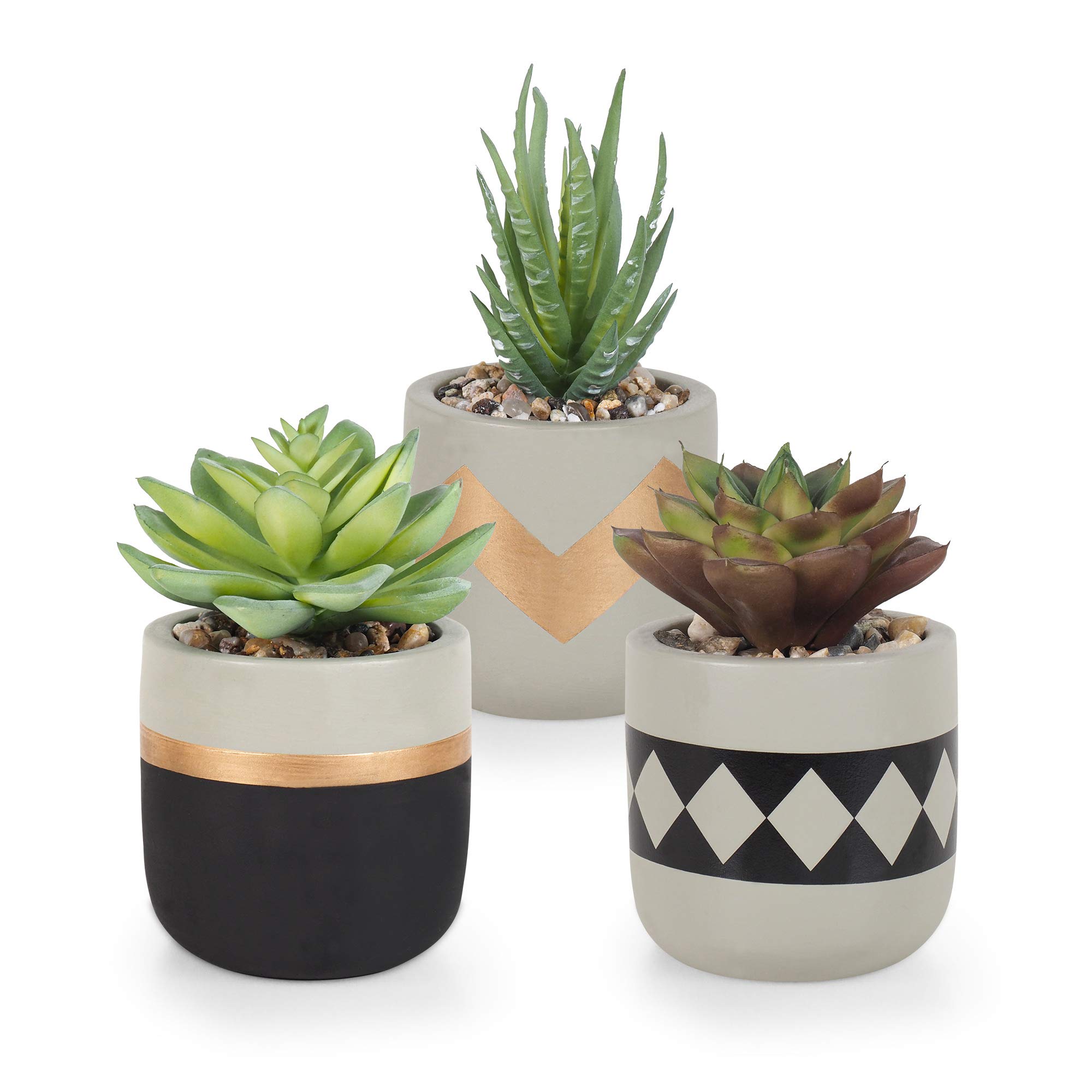 Buy Gadgy Small Artificial Plants in Pots Set 3 Piece Succulent