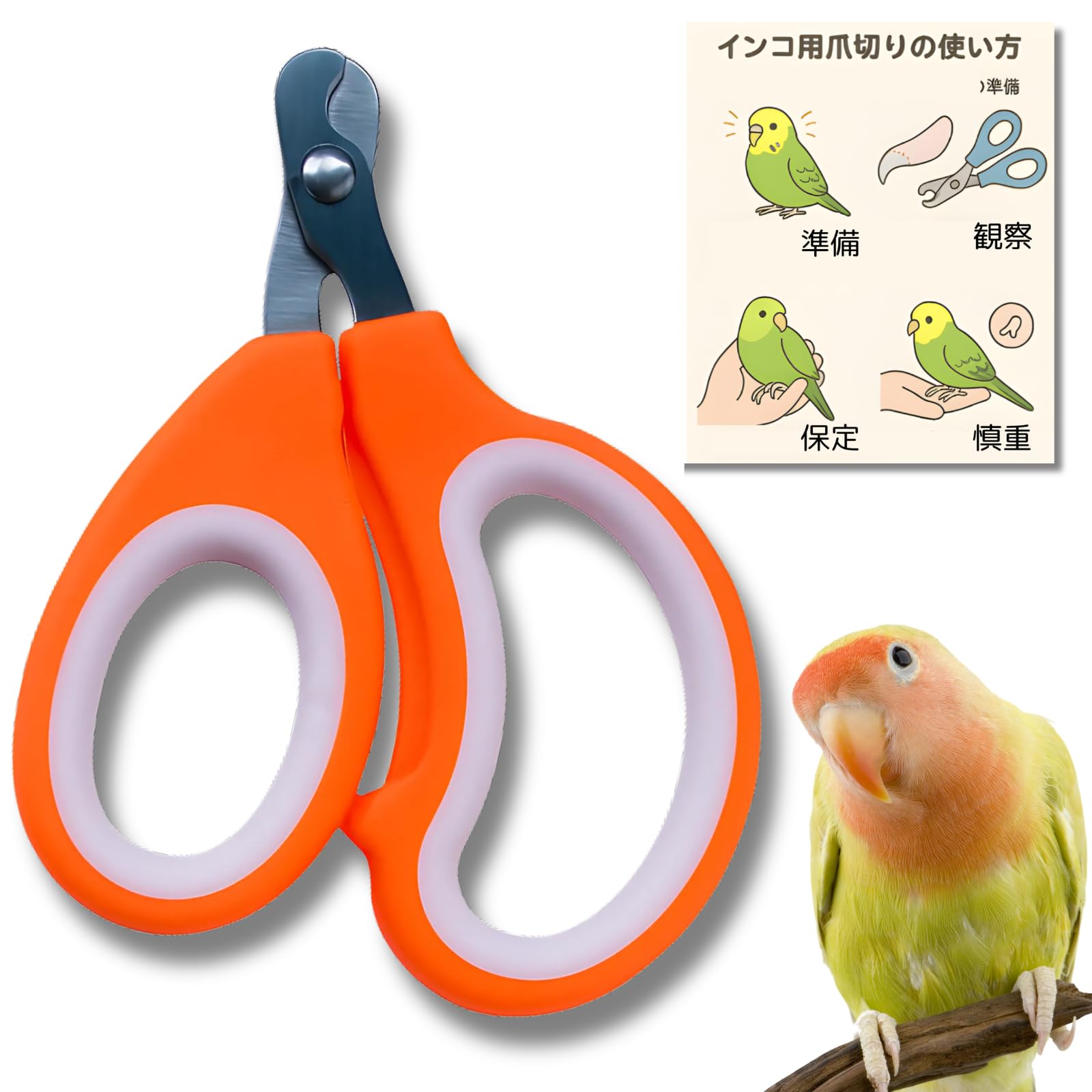 Amazon.co.jp: [YOMO HOUSE]インコ爪切り ハムスター 猫 文鳥 セキセイ