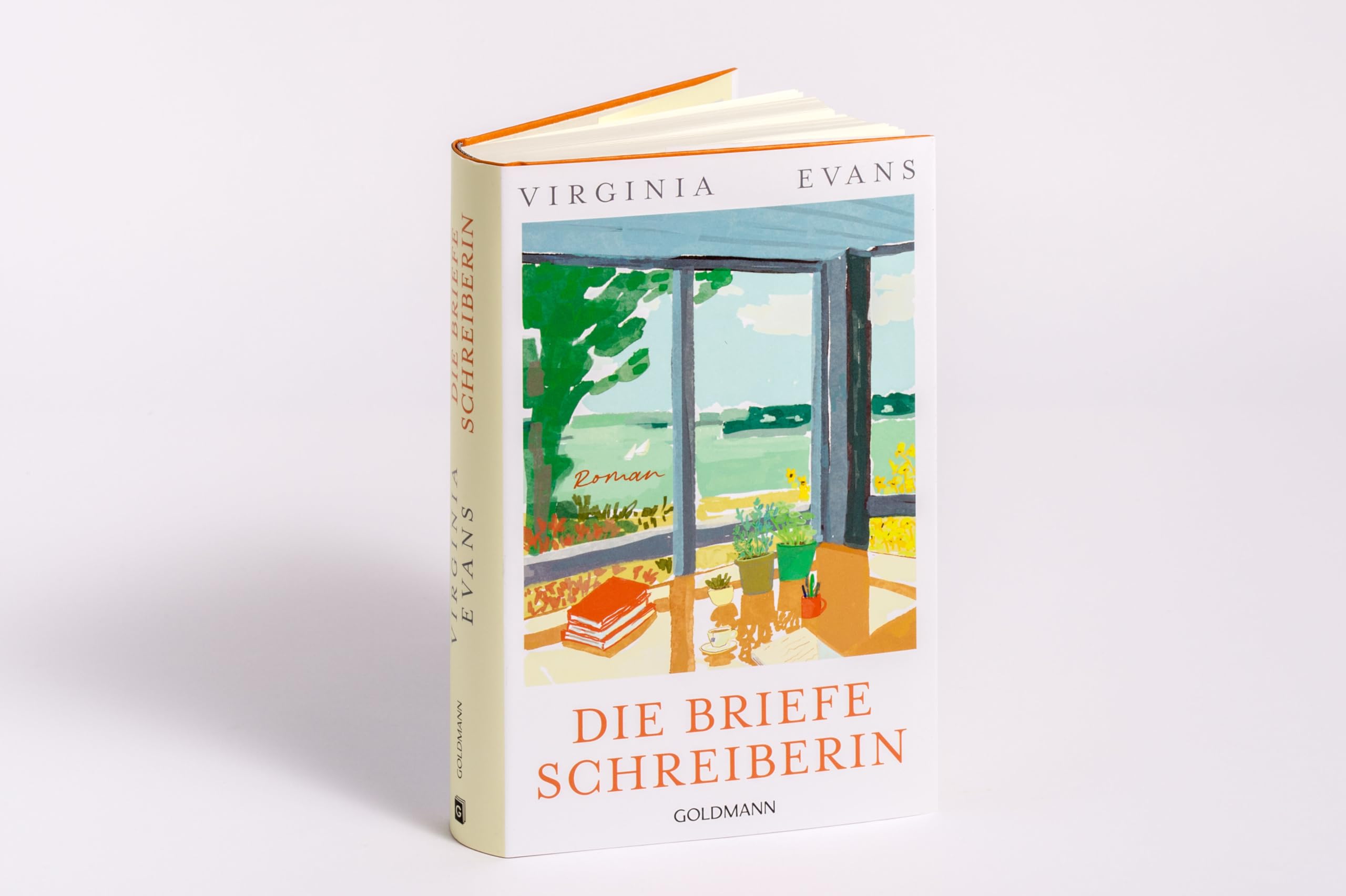 Die Briefeschreiberin: Roman - Der gefeierte Nr.1-Bestseller der New York Times - ausgezeichnet mit dem "Women's Prize for Fiction"