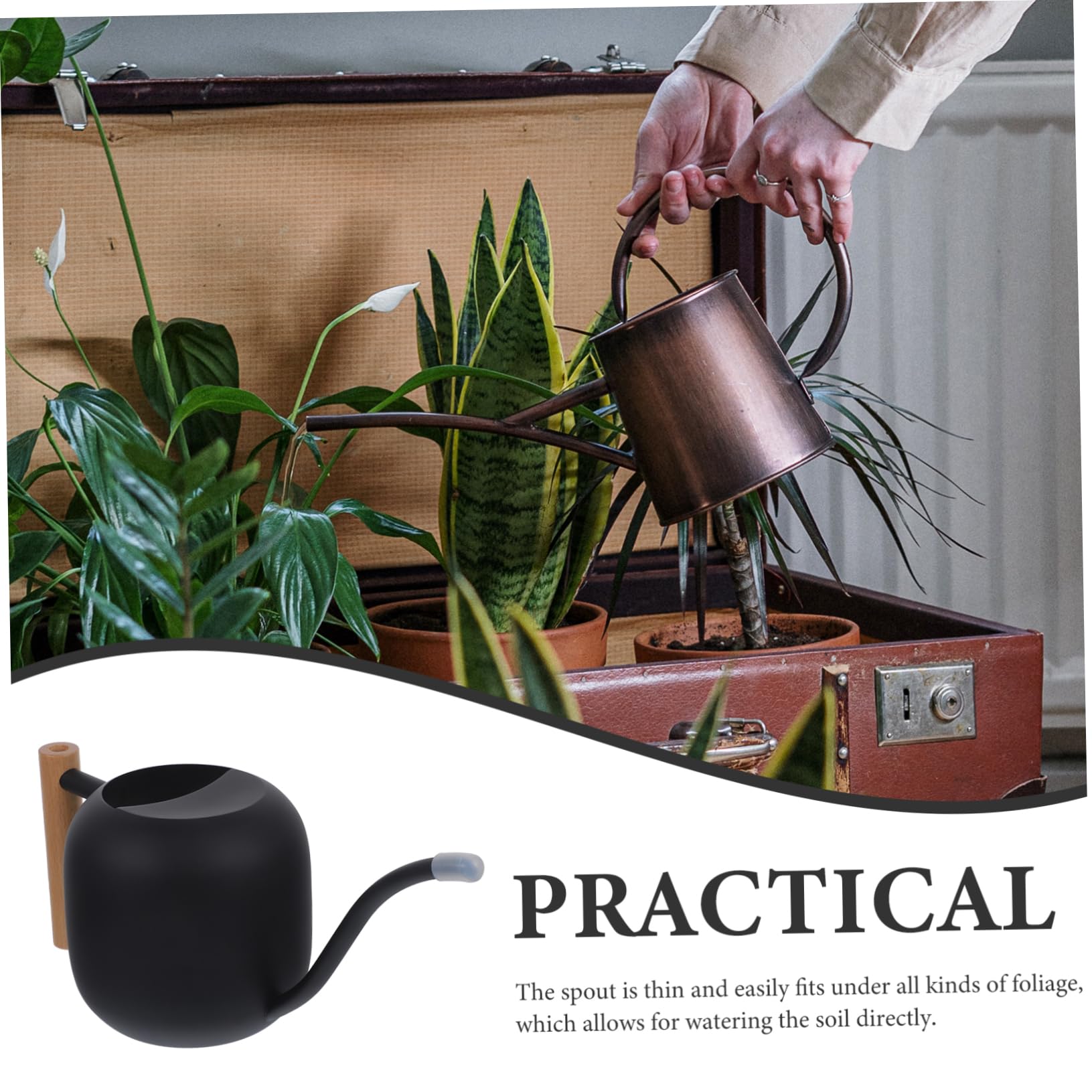TOYANDONA Longue Bouche arrosoir Pouvez arrosoir de Jardin Joli arrosoir pour Plantes d'intérieur Petit arrosoir pour Plantes d'intérieur arrosoir Plantes d'intérieur Acier Inoxydable Noir