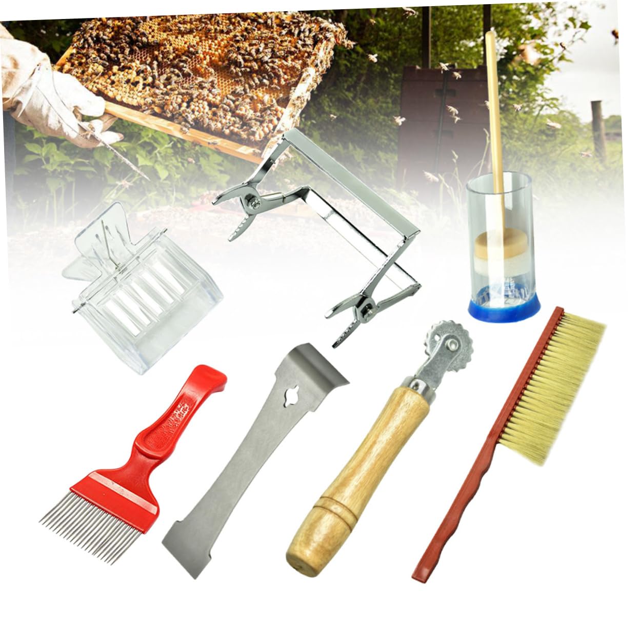 Happyyami 7 Pz Accessori Per L'apicoltura Attrezzi Per Il Dell'apicoltura Attrezzi Per L'apicoltura Strumenti Per L'apicoltura Attrezzo Di Legno Ape Regina