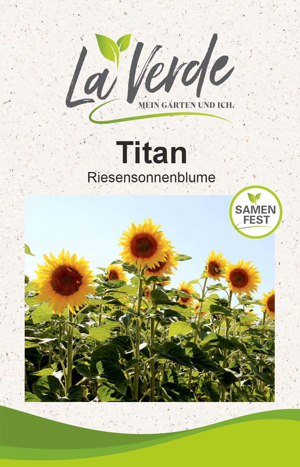 La Verde MEIN GARTEN UND ICH. Titan Riesensonnenblumen Samen für ca. 30 Pflanzen, extrem hohe Sonnenblume bis 4 m, riesige Blüten, Saatgut ohne Gentechnik