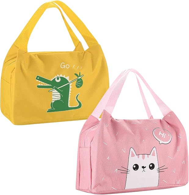 PanBeiQi 2 Pcs 6 L Insulated Lunch Bags, Thermal Picnic Bags, Foldable Cool Bags, Portable Lunch Box Bag Holder Cooler Bag for Men/Girls/Children/Foods/Drinks/Picnic/Beach/School/Office Work