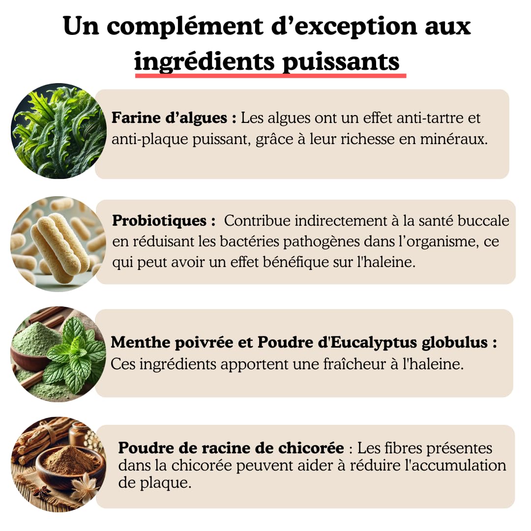 SUNFIDE - Poudre Dentaire pour Chien - Haleine Fraîche, Dents propres, Gencives Saines - Anti-tartre et Mauvaise Haleine - Anti-Plaque - Algues et Probiotiques (1 Boîte (60 Dosettes - Doseur Inclus))
