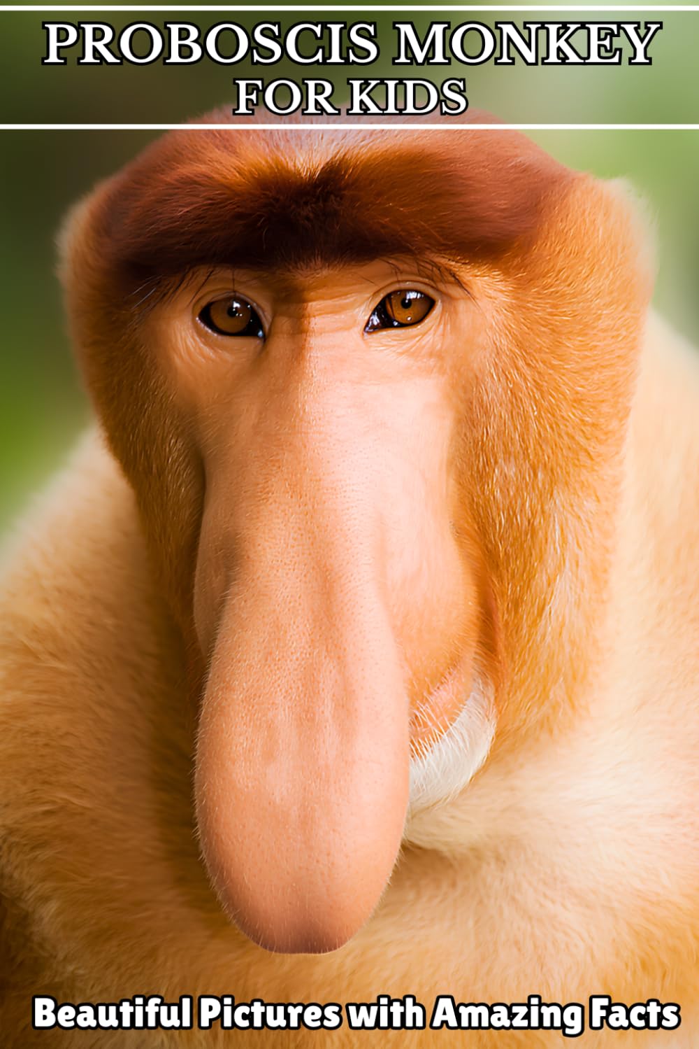 Proboscis Monkey for Kids: Beautiful Pictures with Amazing Facts
