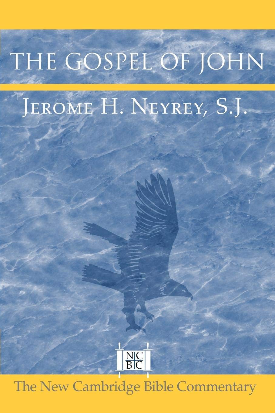 The Gospel of John (New Cambridge Bible Commentary)
